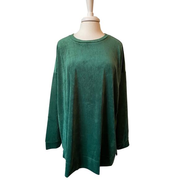 Woman Within Plus NWOT Green Plush Velour Long Sleeve Pullover Comfy Tunic 2X - Picture 1 of 7